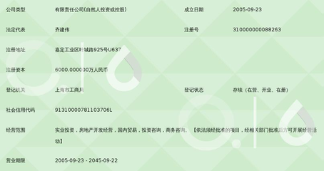 上海巨中投資集團